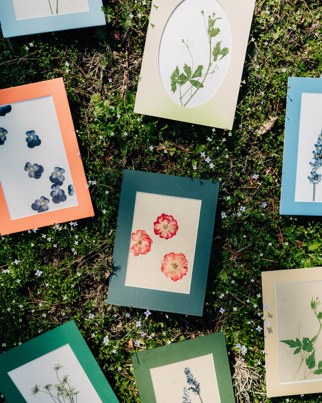 Mini Matted Florals