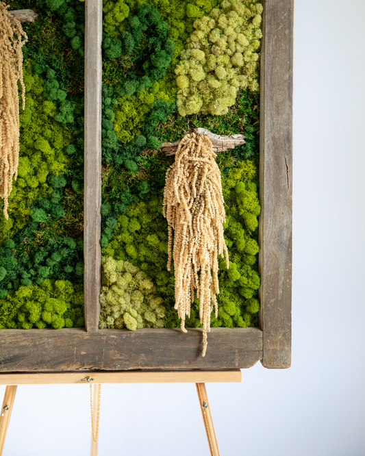 Preserved Moss Amaranthus View