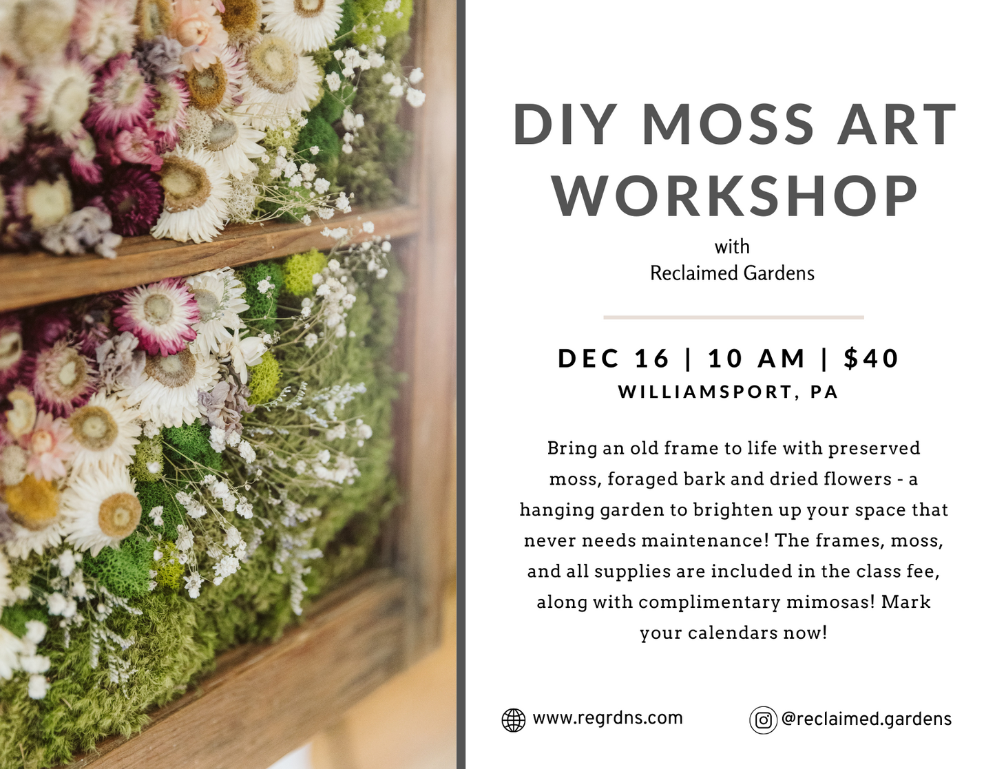 Workshop: Dec 16 Moss Frame Art