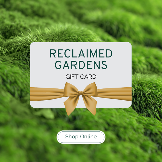 RG Gift Card