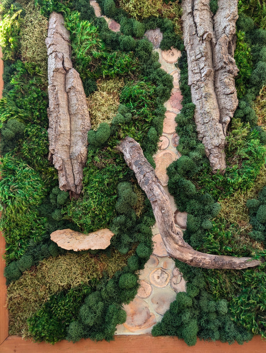 Hidden Streams