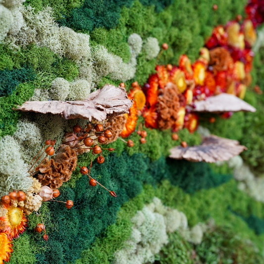 Preserved Mushrooms Autumn Fairies Gather