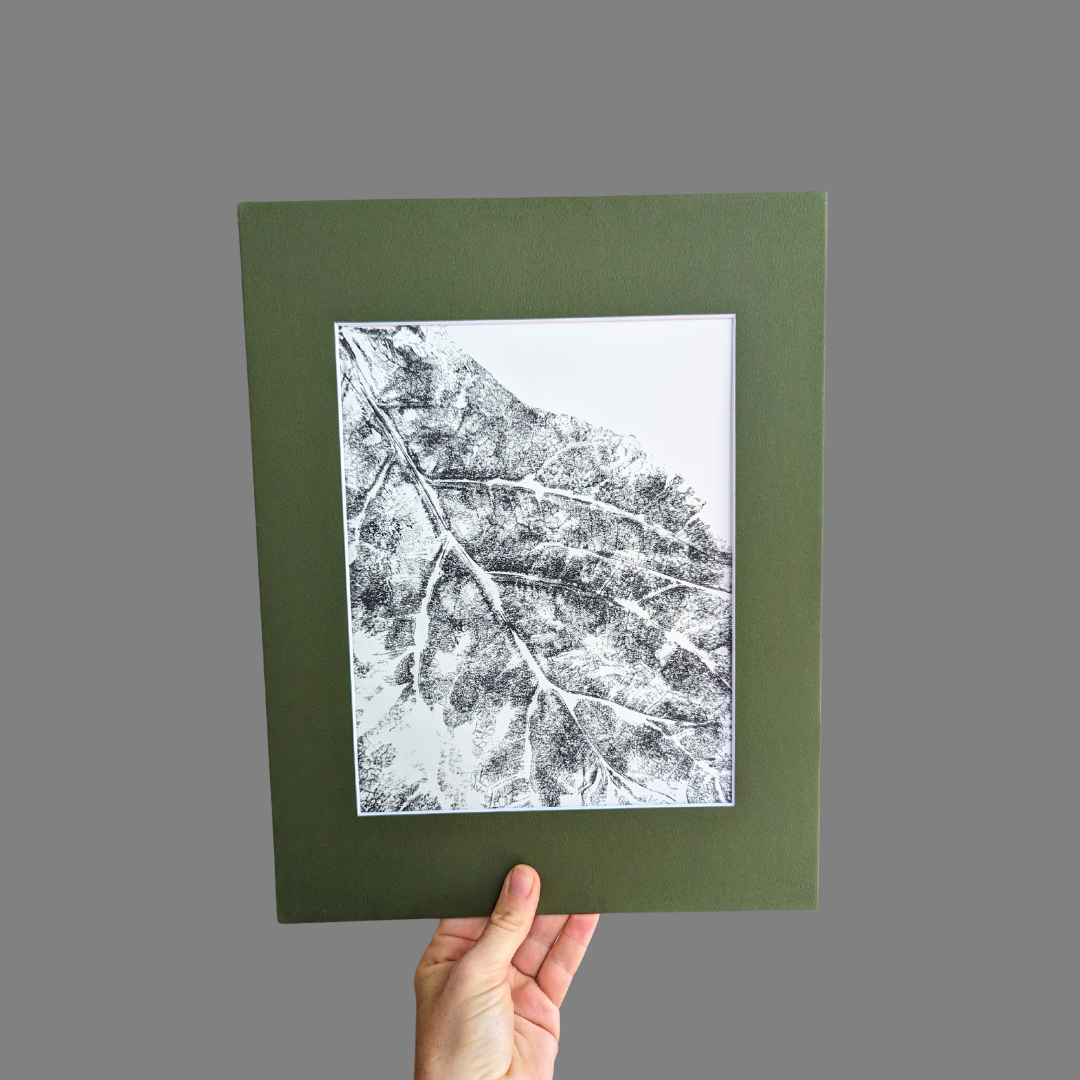 Prints Botanical Monoprints