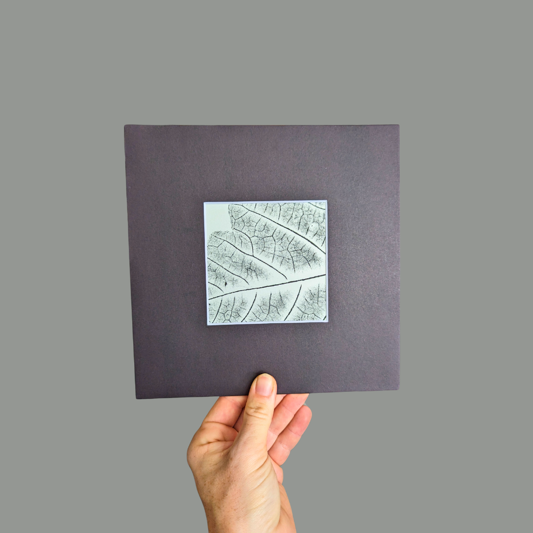  Real Botanicals Monoprints