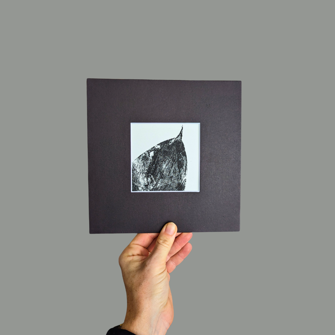  Real Botanicals Monoprints
