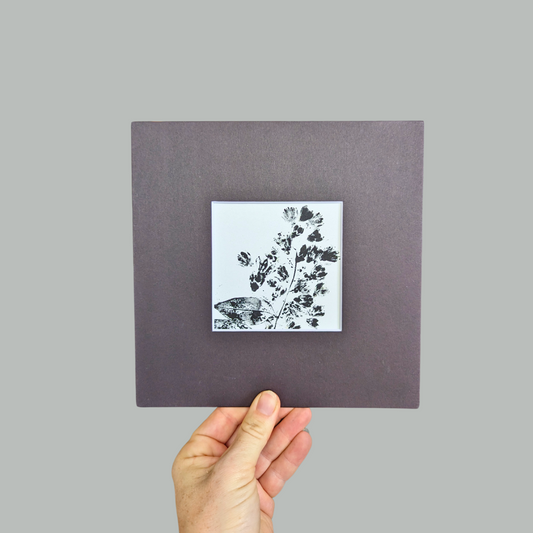  Real Botanicals Monoprints