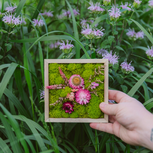 Square Garden