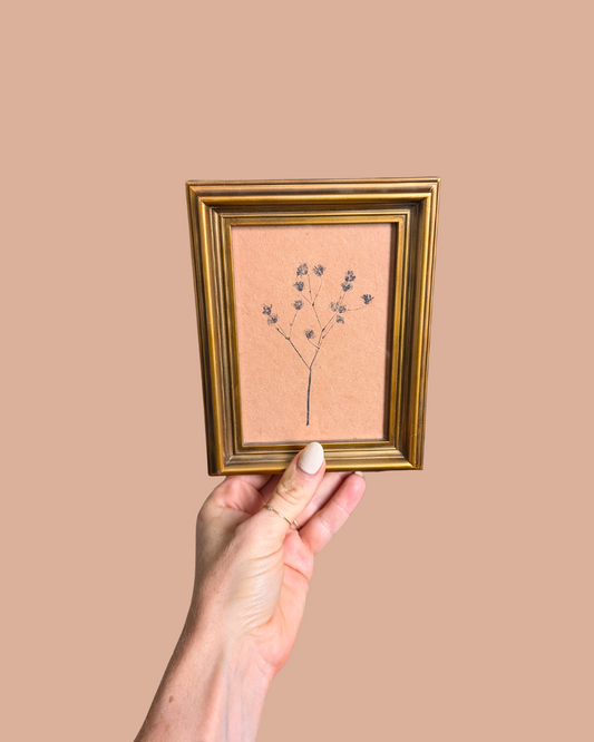 Vintage Baby's Breath #3