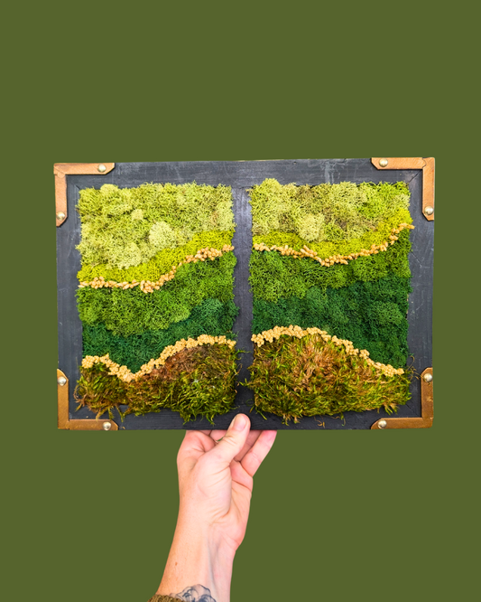 Yarrowscape #3