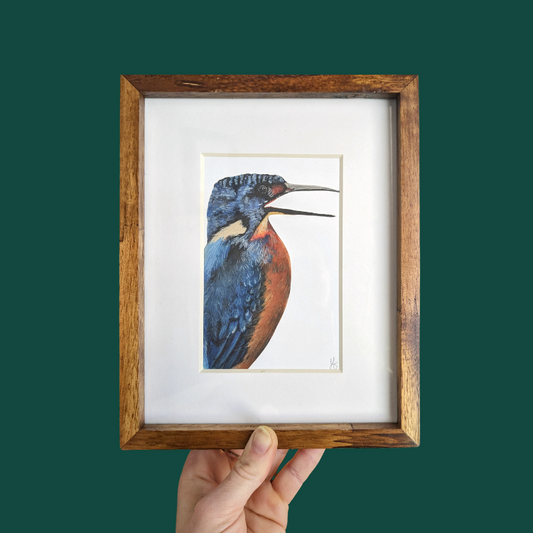 Kingfisher Chalk Pastel Drawing