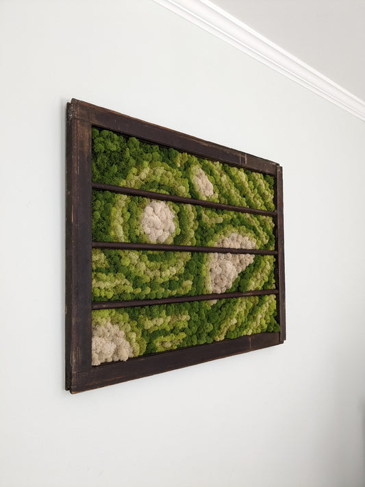 Preserved moss