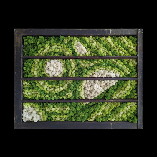 Preserved moss